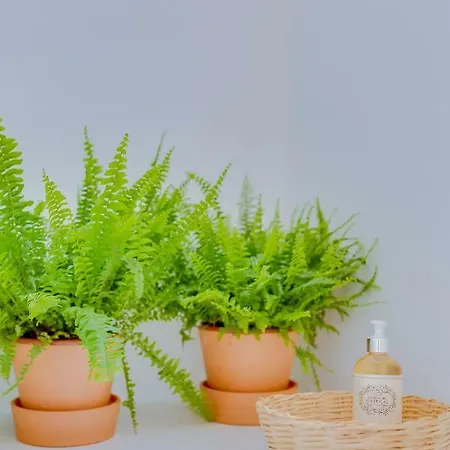 شقة Casa Do Chico *